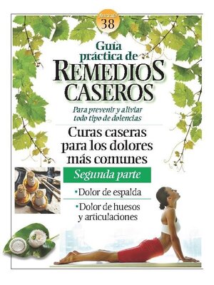 cover image of Remedios Caseros